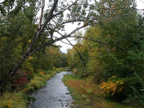 Mill Creek - Washington Water Trust