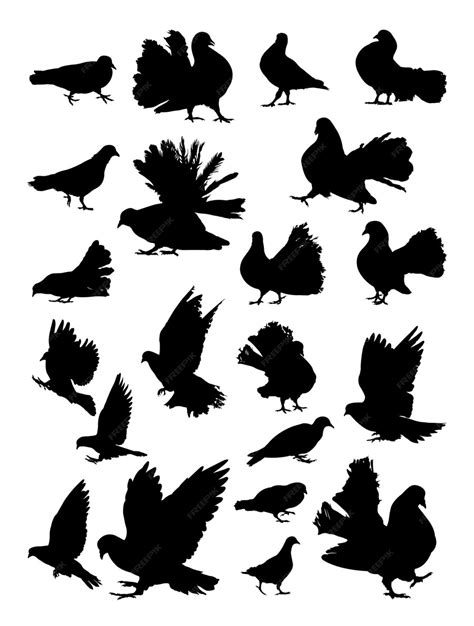 Premium Vector | Pigeon silhouette