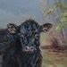 A Black Cow Art Cattle Art Calf Art Cattle Art Prints-cattle Painting-black Cow Print Black Calf ...