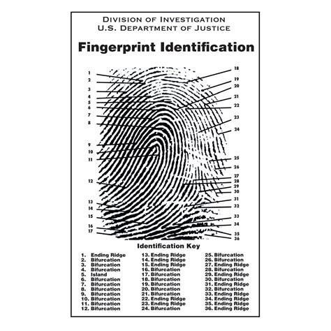 Fingerprint Poster - Crime Scene Forensic Supply Store