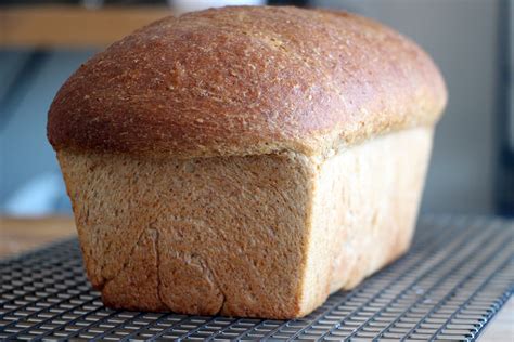 Recipe: Homemade Whole-Wheat Honey Sandwich Bread | KQED