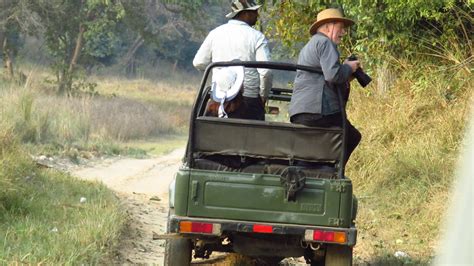 Our Guests | Safari Tours of Rajaji National Park