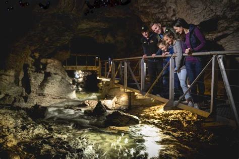 Te Anau: Glowworm Caves Guided Tour | GetYourGuide