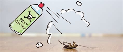 Top 10 Pest Control Tips and Tricks to Keep Pests Away - The Urban Life