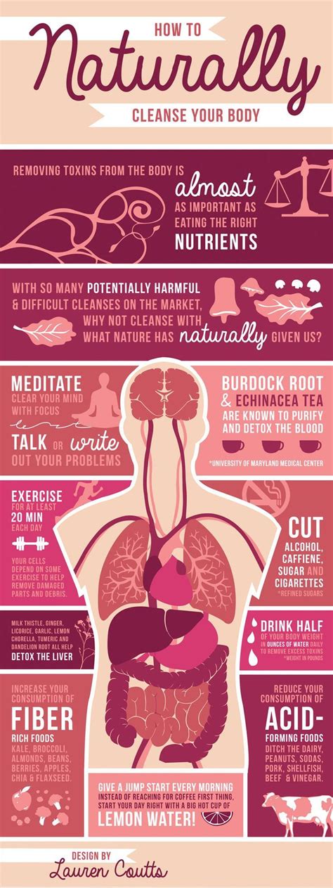 Your Comprehensive Guide To Natural Body Cleanse (Detox) Infographic