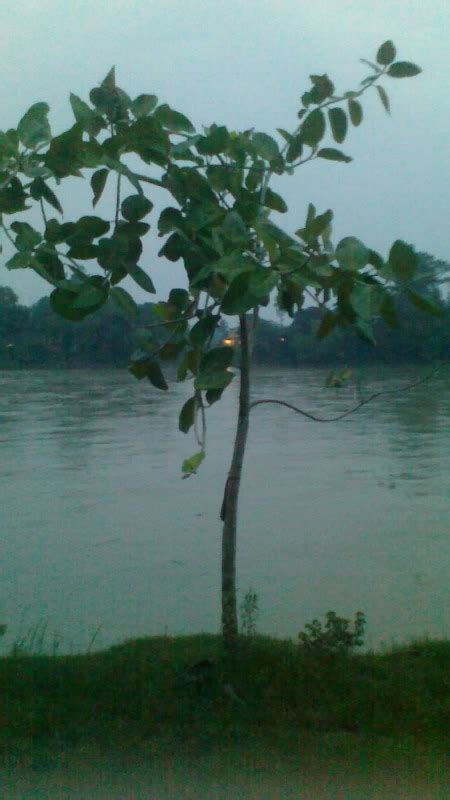 Damodar river - Desi Comments