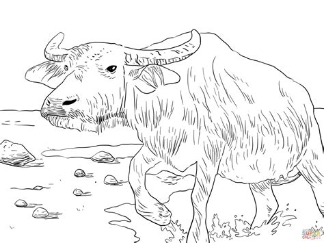 Water Buffalo coloring page | Free Printable Coloring Pages