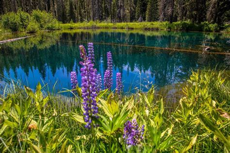 Meet Crater Lake's Stunning Little Sister, Little Crater Lake in Oregon ...