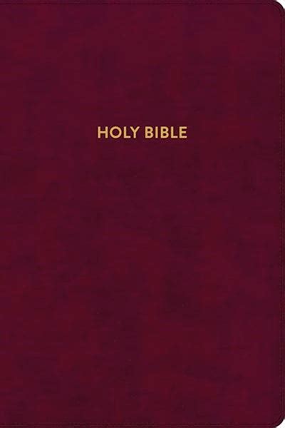 KJV Rainbow Study Bible Burgundy LeatherTouch – Scripture Truth