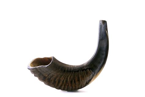 Shofar Questions - what lies behind blowing the shofar