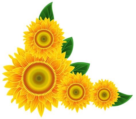 Free Sunflower Border Png, Download Free Sunflower Border Png png images, Free ClipArts on ...
