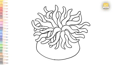 How To Draw A Sea Anemone