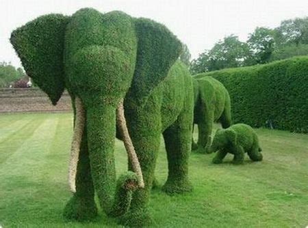 Amazing Collection of Grass Sculpture – Design Swan