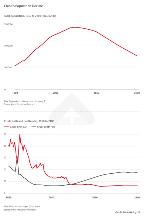 China's Demographic Shift: Impact of Population Decline