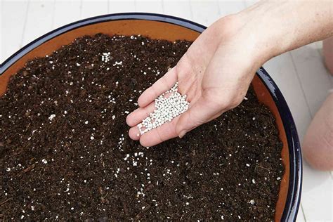 Homemade Potting Soil | Better Homes & Gardens