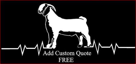 Custom Order Show Boer Car Decal Car Window Custom Car Decal Vinyl Sticker Truck Decal Custom ...