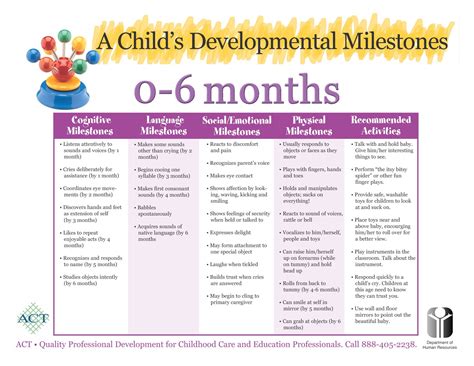 Gifted 28-month Developmental Milestone Chart