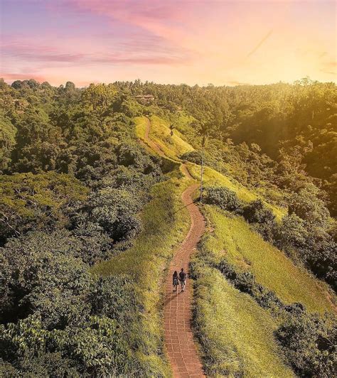 The iconic Campuhan Ridge Walk in Bali, #Indonesia Photo by: IG @amanjivraj Indonesian ...