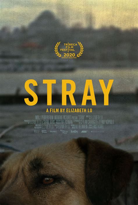 stray trailer News, Rumors and Information - Bleeding Cool News And ...