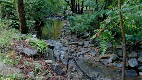 The Best Winter Hiking Trails in Arlington, VA.