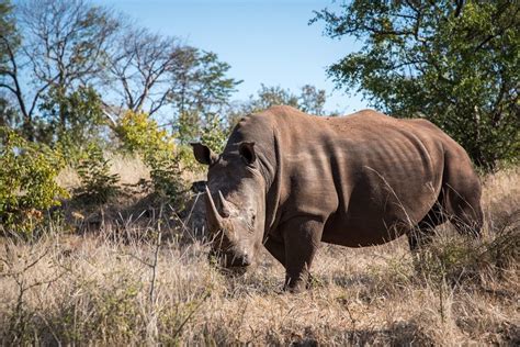 Mosi oa Tunya National Park | Maano Adventures