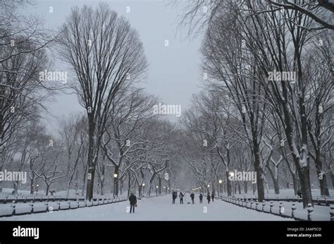 Central Park after the snowstorm, NYC Stock Photo - Alamy