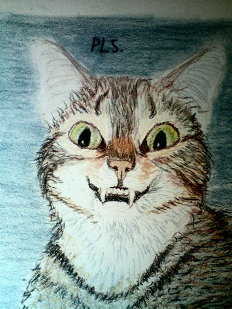 derp cat by Belinda92 on DeviantArt