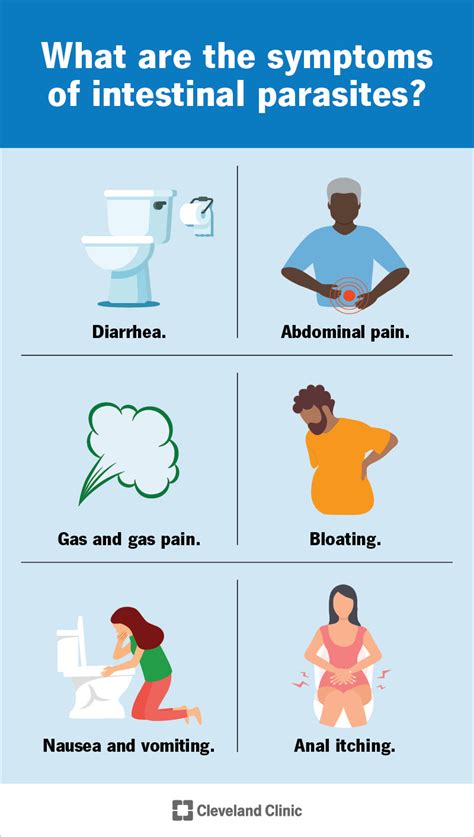 Intestinal Parasites & Worms: Symptoms, Types, Treatment