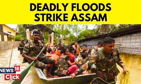 Assam Flood 2023 News | Nearly Half A Million Impacted By Flooding In Assam | English News ...