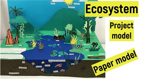 Ecosystem project model | Ecosystem 3d model making | Ecosystem paper model for science ...