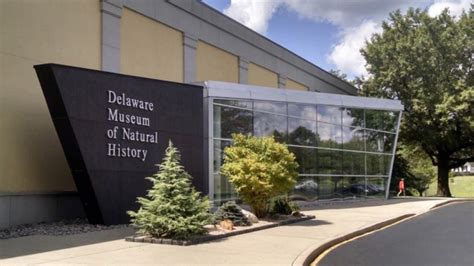 12 Wonderful Museums in Delaware [Update 2024]