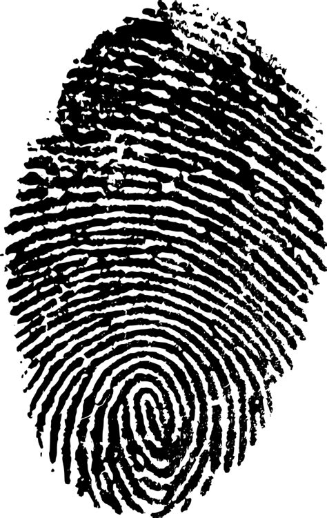 SVG > biometric impression security identity - Free SVG Image & Icon. | SVG Silh