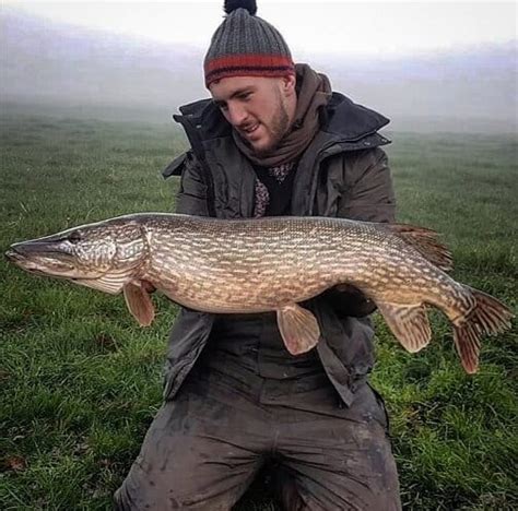 What Is the Best Time of Day for Pike Fishing? | Strike and Catch