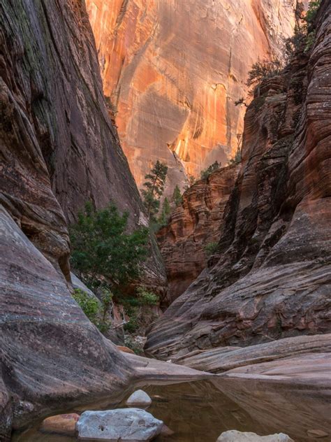 14 Best Zion Hikes To Enjoy In 2024