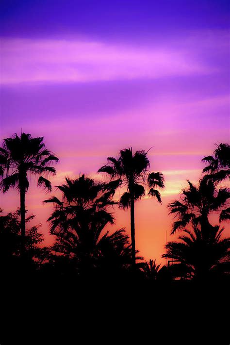 Purple Sunset - Kihei, Maui, Hawaii, USA 2017 New 1/10 Photograph by ...