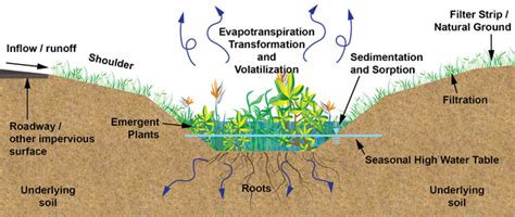 Drainage Swale Design, Terminology For Swales Minnesota Stormwater ...