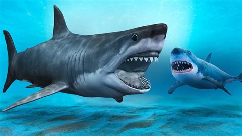 A Shark Scarier Than the Megalodon Could Exist - YouTube