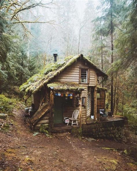 15 Beautiful Cabins In The Woods - American Patriot Survivalist