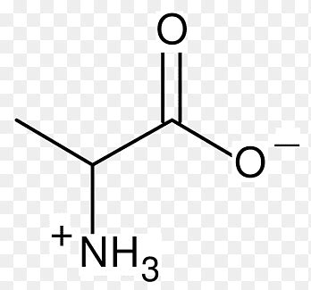 formula struktur protein - Lillian Ogden