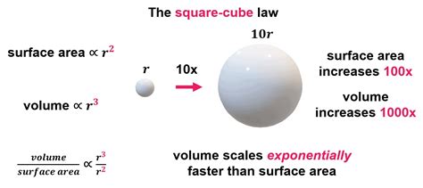 The Square-Cube Law in Chemistry and Biology