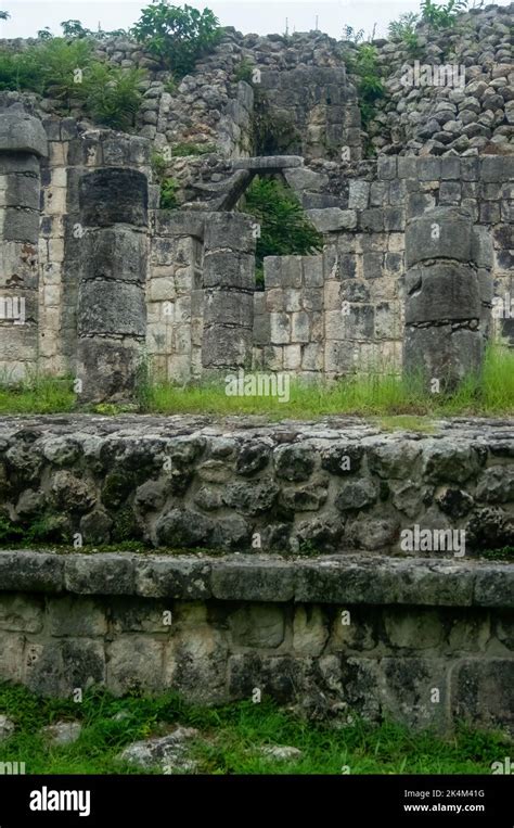 pirámides mayas en méxico, construcción de piedra, rodeado de vegetación, selva profunda ...