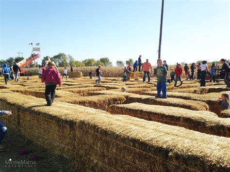 Severs Corn Maze and Fall Festival - MinneMama Adventures