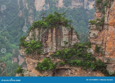 Tianzi Avatar Mountains Nature Park - Wulingyuan China Stock Image ...