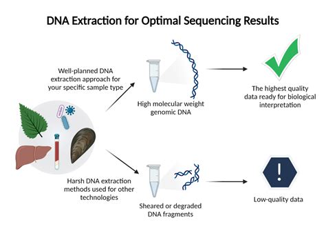 Sequencing 101: DNA extraction — tips, kits, and protocols - PacBio