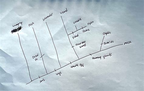 SOLVED: A. Are there any examples of convergent evolution? If yes, which trait displays ...