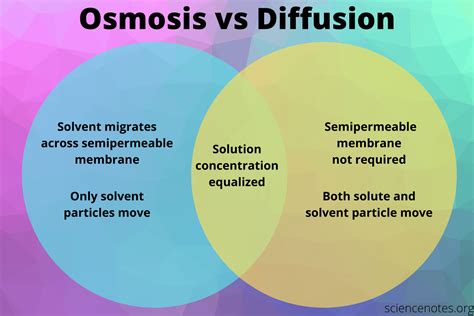 Osmosis vs Diffusion - Definition and Examples