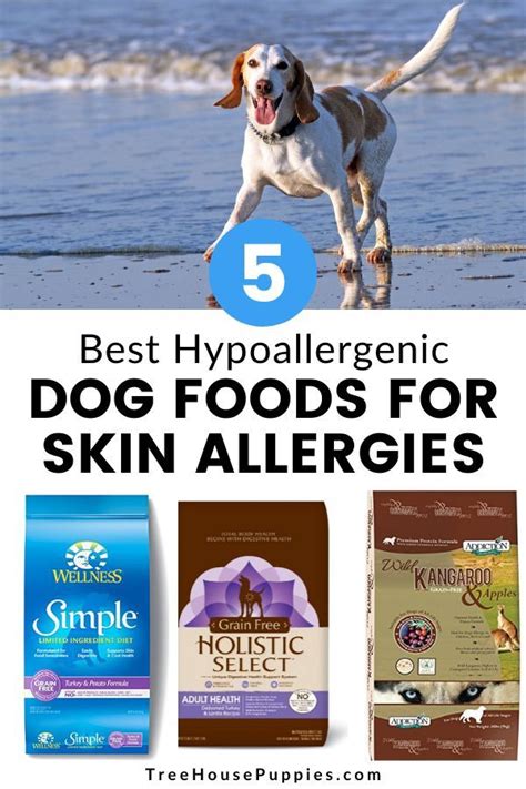 5 Best Hypoallergenic Dog Foods + Skin Allergies [2021 Review] | Hypoallergenic dog food, Best ...