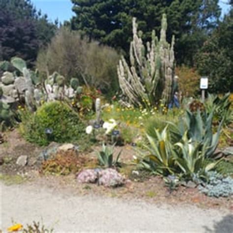 Mendocino Coast Botanical Gardens - Fort Bragg, CA, United States. Desert area in the gardens