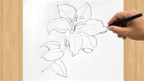 How to Draw an Orchid Flower | Easy Step by Step Orchid Drawing Tutorial for Beginners - YouTube