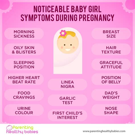 Pregnancy Symptoms During The First Trimester, - Pregnancy Sympthom